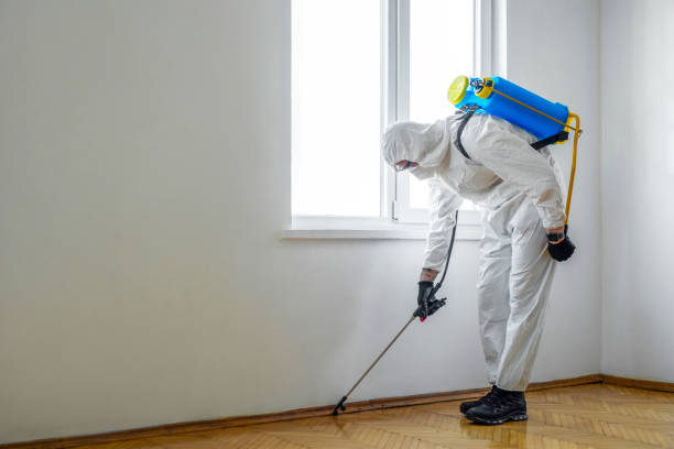 Best Pest Removal Services  in Sheridan, WY